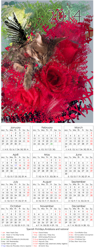 2014 Calendar � Spaindarkangel500